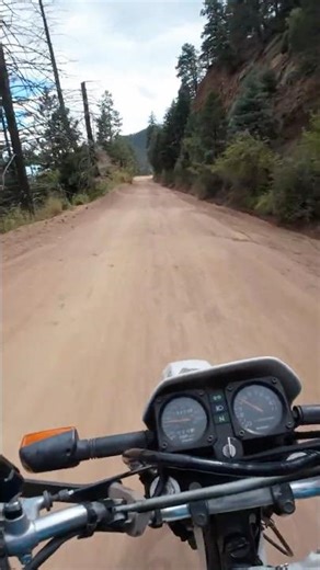 Suzuki DR350 This thing Rips!