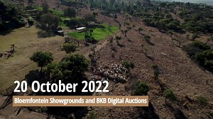 248 reactions · 25 shares | Save the date for The National Boergoat Simulcast Sale! When: Thursday, 20 October 2022 from 11:00 Where: The Bloemfontein Show Grounds and on the BKB digital auction platform On offer: Coming soon! For more info, visit: https://bit.ly/3S26PAh | BKB | Facebook