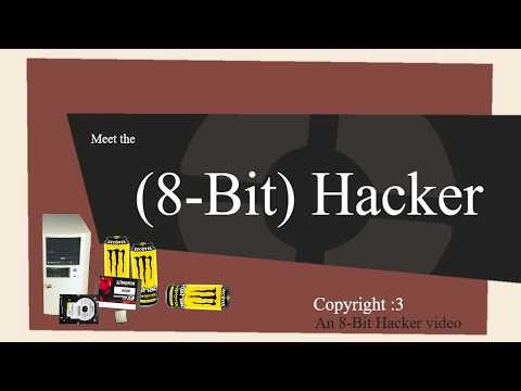 Meet the (8-Bit) Hacker