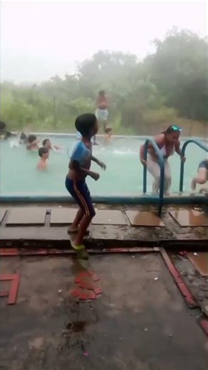 Sudden Storm Sends Palm Tree Crashing Into Pool Party