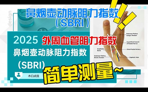 急诊超声血流动力学—鼻烟壶动脉阻力指数（SBRI）#外周血管阻力指数#