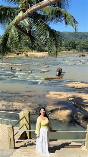 Yashita Rai | The best welcome to Sri Lanka 🇱🇰 🐘❤️ Core memory Unlocked ✨ #explore #elephants #travel #srilanka | Instagram