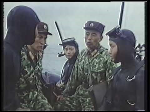 Rare Film Footage of North Korea Military Exercises 1980s Tanks Fighter Planes Korean Peoples Army