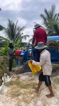 Rice harvesting machine, over 20 years old. #khanhcamau #mientay #vairal #quehuong