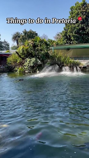 5 Things to Do in Pretoria: Staycation, Coffee Date, Canoeing, Family Outing, Sundowners