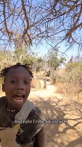 571K views · 8.9K reactions | Hadzabe Tribe bush people produce very unique clicking sounds as they natural speak their bush language, this makes them very unique | Hadzabe Tribe Adventure | Facebook