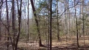 630K views · 6K reactions | Moonshiners left this behind! Amazing Antique cars and abandoned home site! #history #classiccar #moonshiner | Adventure Archaeology And Southern Diggers | Facebook