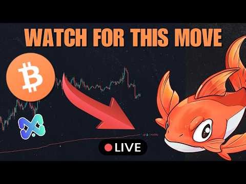 LIVE - Massive move hiding in plain sight...