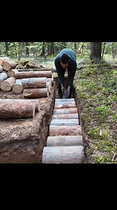Cordwood Cabin Diaries #forest #survival #bushcraft #asmr #camping #reel | Tanvir
