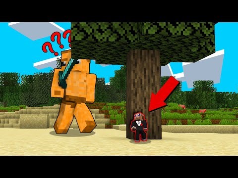 Je suis devenu MINUSCULE sur Minecraft! (Cache-cache)
