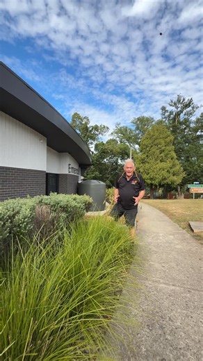 Hello Hello Plants on Instagram: "Seen this plant everywhere? There’s a reason.👀🌿𝐋𝐨𝐦𝐚𝐧𝐝𝐫𝐚 𝐓𝐚𝐧𝐢𝐤𝐚 (Lomandra longifolia ‘LM300’ PBR) is one of Australia’s most trusted plants — super tough, ultra low-maintenance, and always looks neat whether it’s schools, hospitals or home gardens. 🏥 . 👉Want an easy win for your garden? 𝙇𝙤𝙢𝙖𝙣𝙙𝙧𝙖 𝙏𝙖𝙣𝙞𝙠𝙖 𝙞𝙨 𝙖 𝙣𝙤-𝙗𝙧𝙖𝙞𝙣𝙚𝙧: go to our website via the link in bio > 𝘵𝘺𝘱𝘦 𝘓𝘰𝘮𝘢𝘯𝘥𝘳𝘢 𝘛𝘢𝘯𝘪𝘬𝘢 𝘰𝘯 𝘵𝘰𝘱 𝘴𝘦𝘢𝘳𝘤�