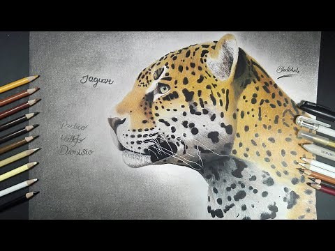 Cómo dibujar un jaguar realista | BladiArt'sCreating
