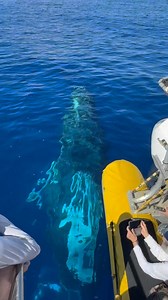 This whale is living in its pretty girl era for sure! Close encounters like this definitely don’t happen every day but when they do, it’s total magic. All sanctuary guideline were followed. We are here in the Hawaiian Island Humpback Whale National Marine Sanctuary where there is a 100 yard approach distance to the whales. On the rare account that the whale comes inside that distance, we are required to keep our engines in neutral or shut down until the whale moves outside that distance. Big tha