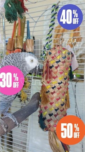 Up to 50% OFF in Parrot Essentials January Sale