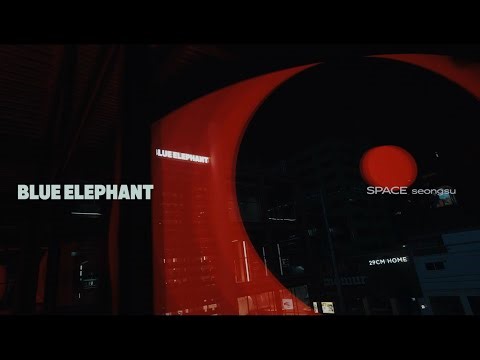 BLUE ELEPHANT SPACE SEONGSU