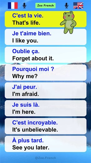 Zee French | Learn French with Music 🇫🇷 "C'est la vie" 🎧 ✅ | Instagram