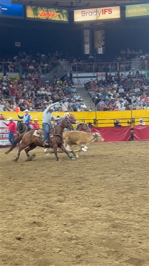 Header Mason Appleton and heeler Rance Doyal had a 3.2 second team roping run which broke both an arena record and WORLD RECORD right here at the Snake River Stampede Rodeo 🏆 #snakeriverstampede #rodeo #teamroping #arenarecord #worldrecord | Snake River Stampede
