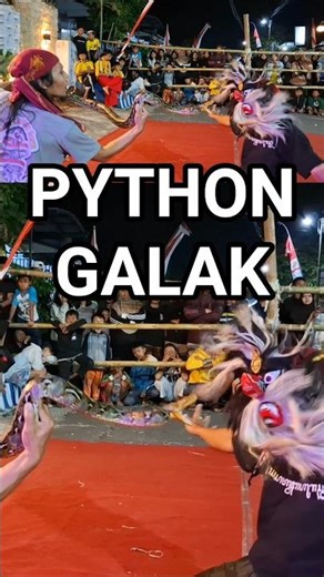 DANCE WITH PYTHON #shorts