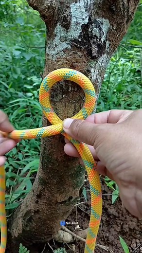 Bowline knot #knottying #knots #easyknot #knottystitches #viral | Yan Knot