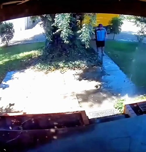 POV: Your delivery driver has more personality than most influencers. 😂📦