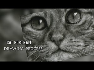 Drawing Realistic Cat |Fur Drawing Technique| How to draw a Cat Portrait