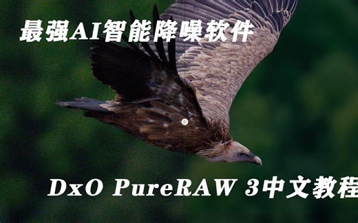 最强RAW文件前期处理软件 DxO PureRAW 3智能AI降噪软件中文教程