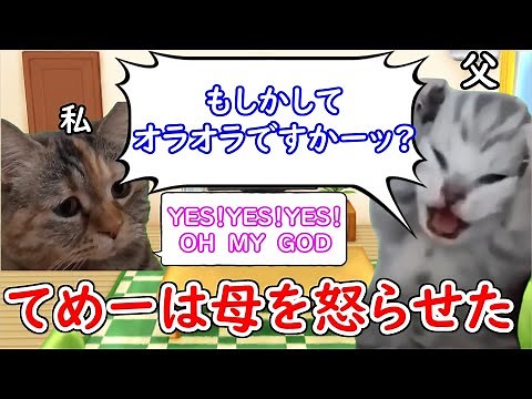【バレなきゃイカサマじゃあねえんだぜ】バレたけど…「一期一会（いちごいちえ）」の意味や使い方を楽しく学ぼう #猫ミーム