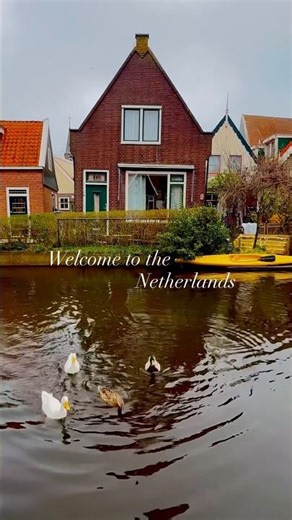 "Peace, Love, and Dutch Streets" 🇳🇱✨