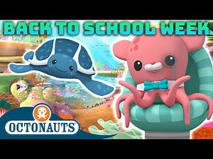 ​‪@Octonauts‬ - How Many of these Sea Creatures Can You Name? 🐙 | Back to School Week! 🎒🚌 | 60 Mins+