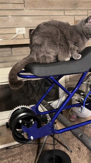Chill Cat Build Update: Upgrading to 40T Sprocket