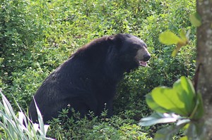 Policy & Legislation - Education For Nature - Vietnam