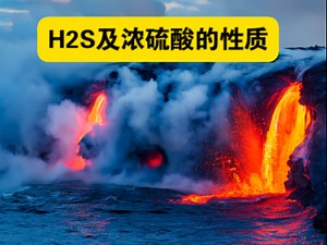 H2S和浓硫酸的性质