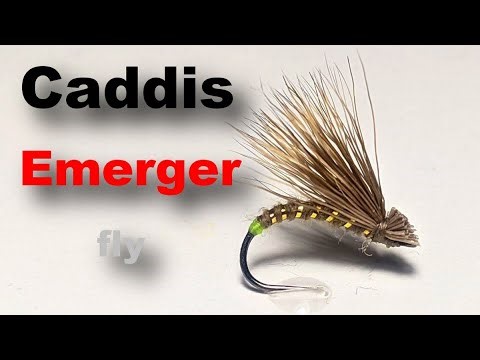 Caddis emerger fly