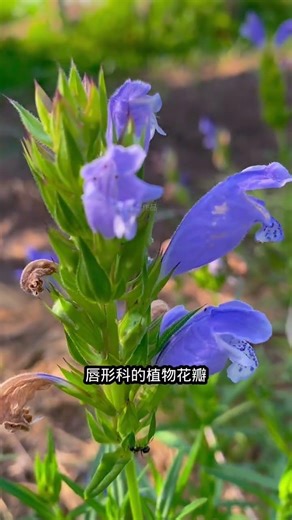 Eco Boost: Grass Planting Incentives & Sci-Pop Partner Hub