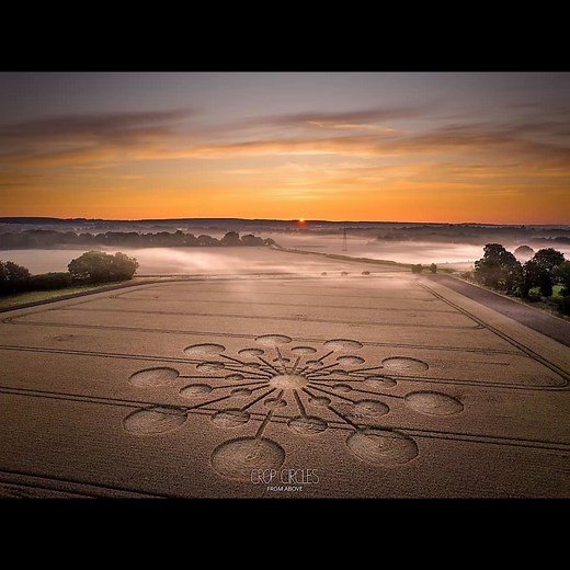 New CROP CIRCLE On the Mayan Day out of Time July 25, 2023 Hampshire...
