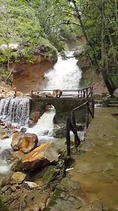 Merida Venezuela Zoo... ☆☆☆☆☆☆☆☆☆☆☆☆☆☆☆☆☆☆ ATTENTION.ATTENTION.ATTENTION ☆☆☆☆☆☆☆☆☆☆☆☆☆☆☆☆☆☆ VIP Tours presents : THE CHILLY SNOW CAPPED MERIDA VENEZUELA JULY 2017 ☆☆☆☆☆☆☆☆☆☆☆☆☆☆☆☆☆☆ Two special flights ☆July 9th to 16th ☆July 16th to 23rd ●7 NIGHTS 8 DAYS ●ALL INCLUSUVE ( all meals all drinks) ●Round trip airfare (Piarco direct to El Vigia Merida) ●Free ground transfers (airport-hotel-airport) ●Amazing hotel ●Amazing daily tours (optional) ●Delicious food ●Amazing shopping ●Mountain SNOW adventu
