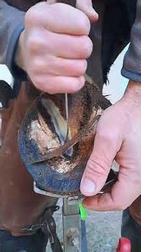 Satisfying Farrier Hoof Trim ASMR, Relaxing Horse Hoof Care, Viral Hoof Cleaning! #farrier #horse