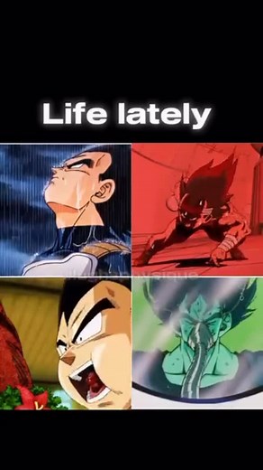 Vegeta DBZ | Dragonball Z on Instagram: "Train. Eat. Sleep. Repeat. ⇨ Follow @vegeta.oji ______ #vegeta #dragonballsuper #dbz #dragonballgt #dragonball #dragonballsuper #trunks #dbzkai #ssjgoku #dbgt #broly #gohanssj2 #fitness #goku #ssj3 #gogeta #dragonballz #dbdaima #anime #dbzart #dbzsuper #gohan #dbz #kakarot #dbzedit #vegitoblue #daima"