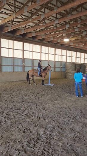 6.4K views · 438 reactions | Hailey had a good ride today winning a local obstacle competition in the youth class and then again winning the adult class. Not bad for being eleven years old...she may have even beaten her mamma but you didn't hear that from me. | Luke Reinbold Horsemanship LLC | Facebook
