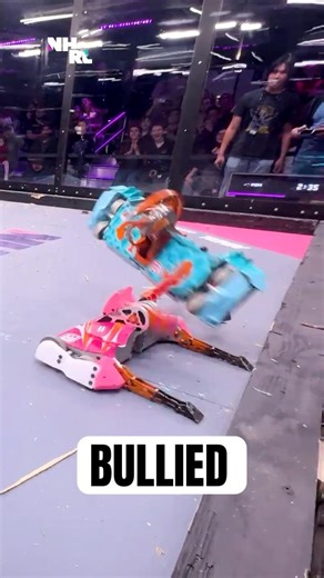 Vert on Vert Violence, Gored bullies FSH Around the Cage