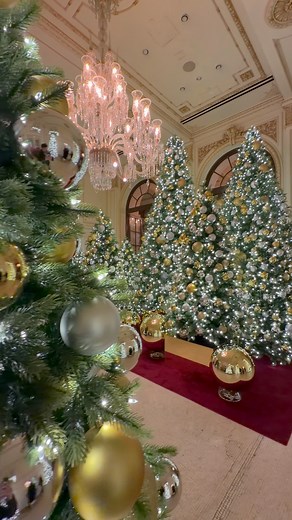 117K views · 5.4K reactions | This is The Plaza Hotel New York’s most exciting hotel experience. The Plaza hotel iconic Christmas Decorations are back   #thenycwalkingshow #newyorkcity #christmas #fblifestyle #winter | The NYC Walking Show | Facebook