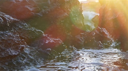 Child, Head, Celebrating