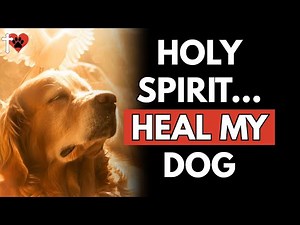 Holy Spirit Prayer Over Your Dog Invite Divine Healing Now – prayer for dogs