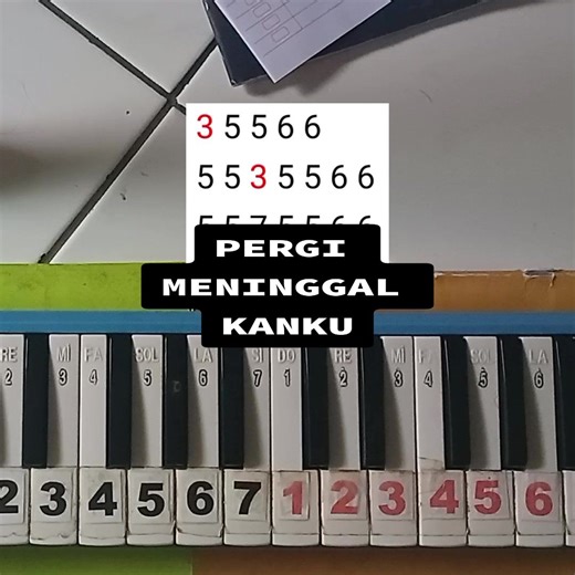#foryoupage #fyp #pianika #xyzbca