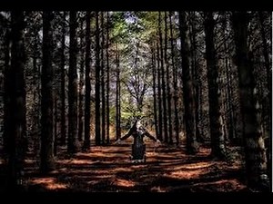 What Is Wicca? | Wicca 101 | The Draconic Priestess