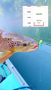 2K views · 31 reactions | That’s right! When it’s gone, it’s gone. VERY limited supply in our online store  https://troutmagnet.com/trout-magnet-50pc-body-pack.html | Trout Magnet | Facebook