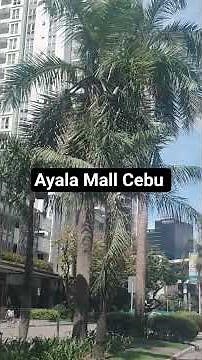 Ayala Centre Ce, Cebu Business Park, Cebu City