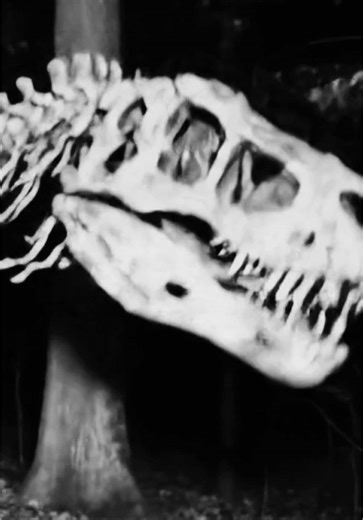 Exploring Dinosaurs with Night Vision Technology