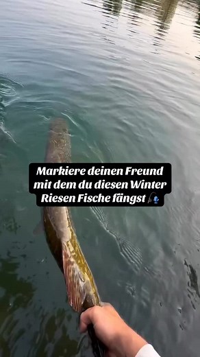 Markieren deinen Freund mit dem du diesen Winter Monster fängst 💪🎣#fishing #angeln #catch #angler #fishinglife | Aljoscha Annen