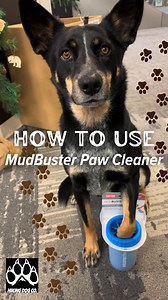 How to use and desensitize the MudBuster paw cleaner! You can find these handy cleaners in-store or through an online shop. They make great gifts and only take water to thoroughly clean your dog’s paws! 🐾 🫧 | Hiking Dog Co.